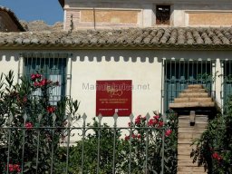 Mula Antigua serie-2